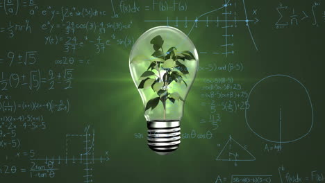 animación de la bombilla con planta y procesamiento de datos matemáticos