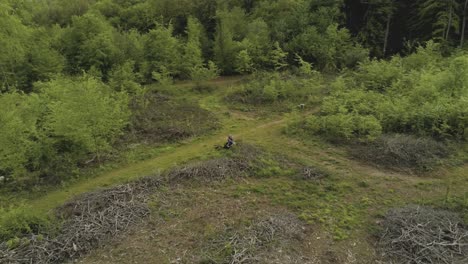 people sitting in a forest, surrounded by logged trees for sustainable lumber products