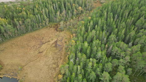 Deciduous-Forest-And-Lakes-In-National-Park-Of-Sweden-During-Autumn-Season