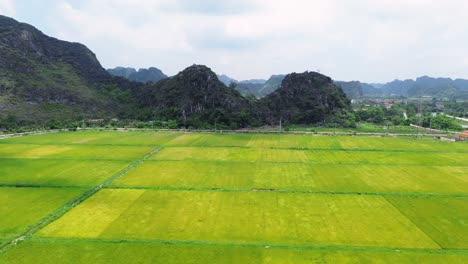 aerial semi orbit of sharp limestone peaks rising from green rice fields under a cloudy sky in ninh binh, vietnam