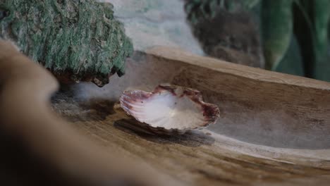 close up of scallop shell used in baptism placed in a carved wooden basin at a church