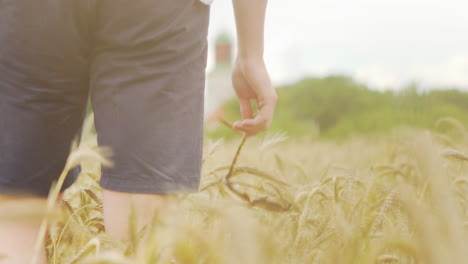 close up of right hand hands holding sunglasses puma pattern walking around in wheat oat flour field sunny summers day farming agro culture barn countryside vacation calm nature sounds meditation yoga