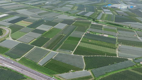 aerial footage flying over a busy highway that cuts through vineyards in a valley in northern italy.