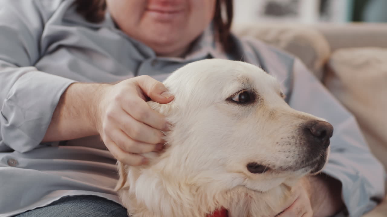 여자와 개, 사랑의 상호 작용