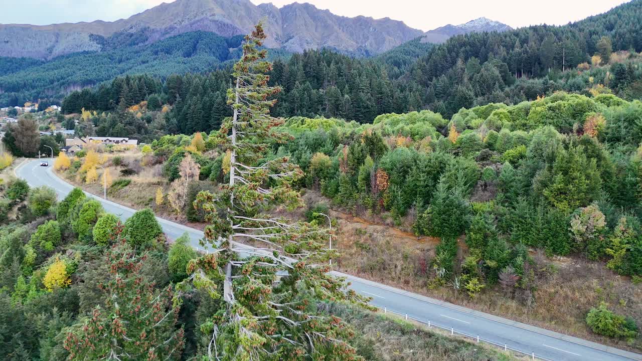 A bus travels through lush greenery and mountainous terrain in Queenstown, New Zealand, under soft daylight