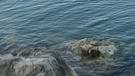 rocks at the seaside in summer morning