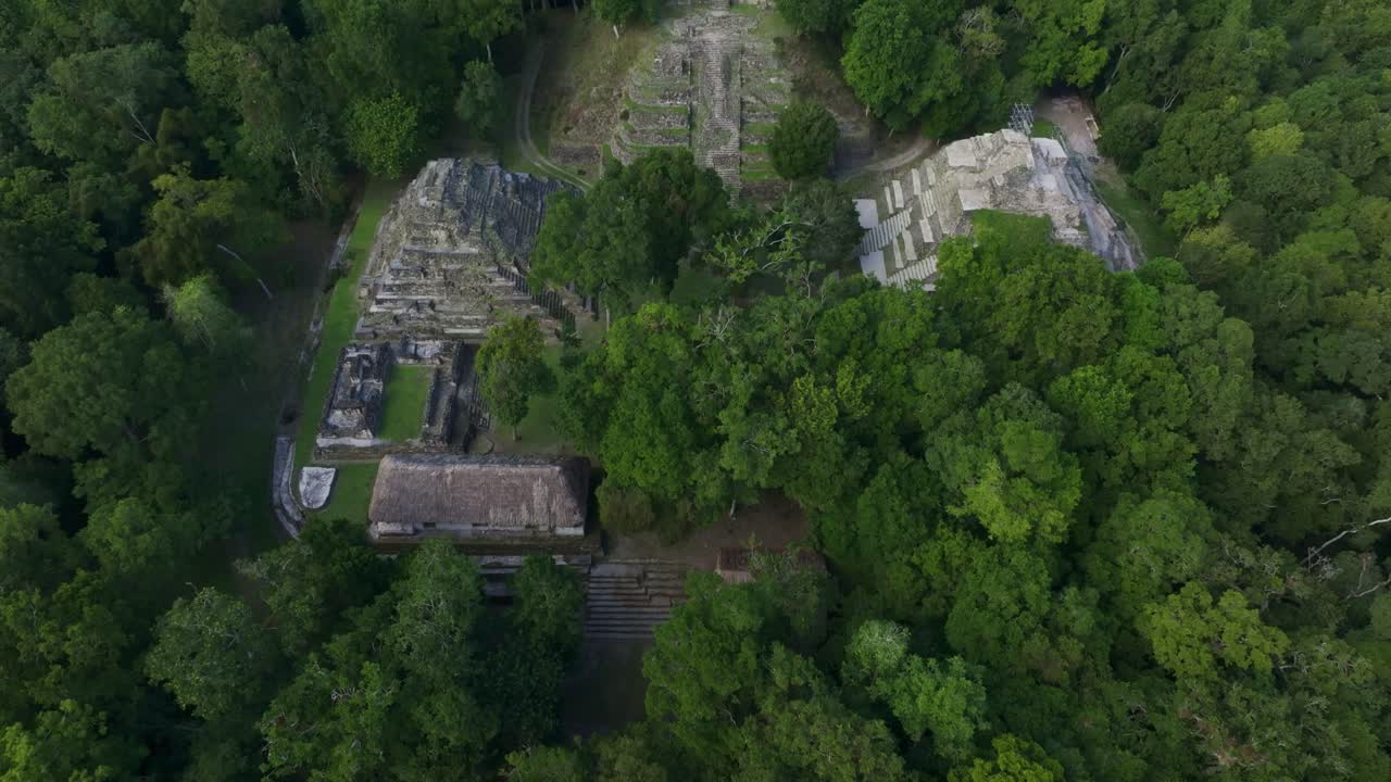 Vista aerea di antiche rovine Maya in una fitta giungla tropicale