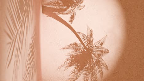 sombras de palmeras en una pared naranja texturizada