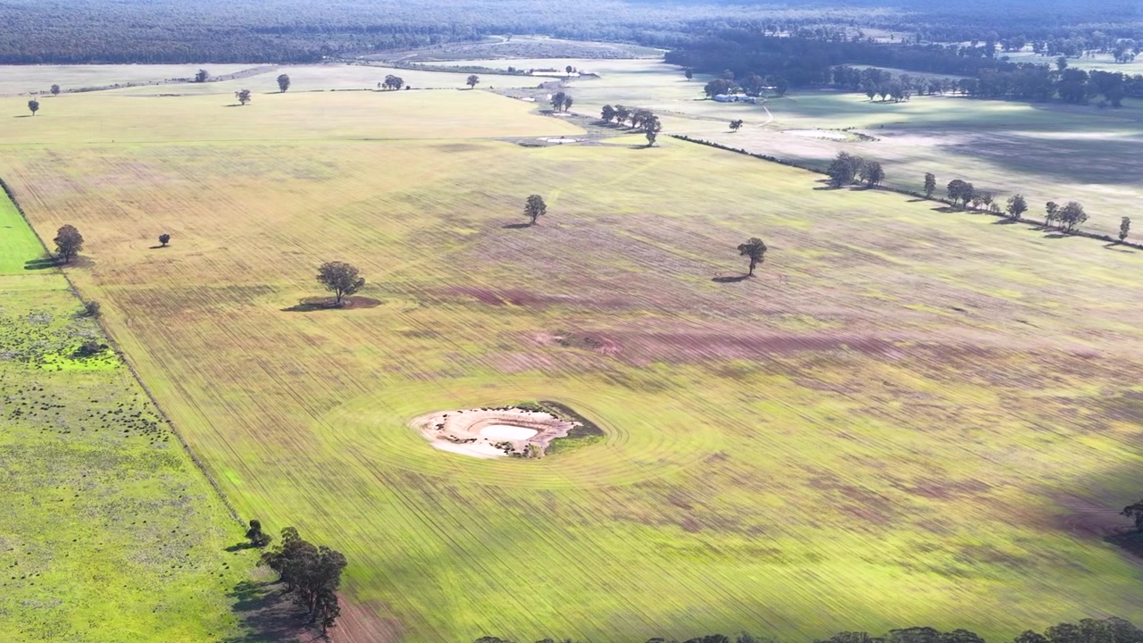 Ripresa aerea con drone dall'alto su pascoli verdi e boscaglia autoctona nel Nuovo Galles del Sud, Australia