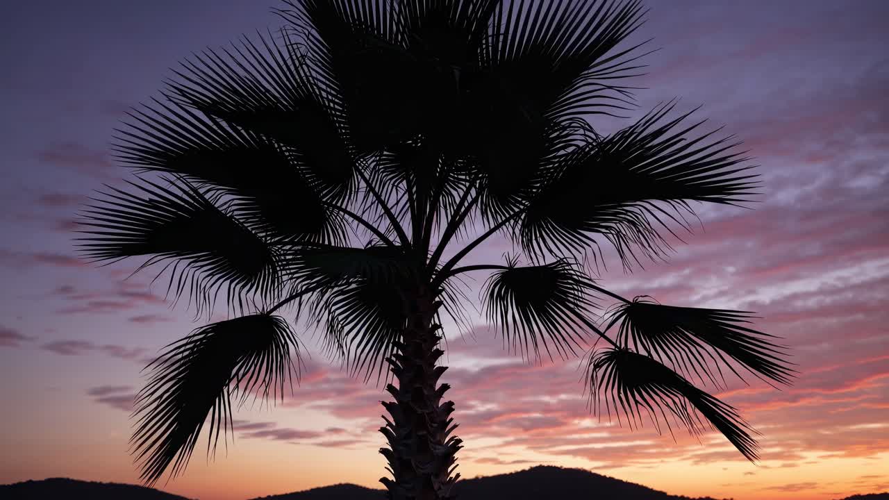 Silhouetted palm tree against a vibrant sunset sky, captured from a low angle