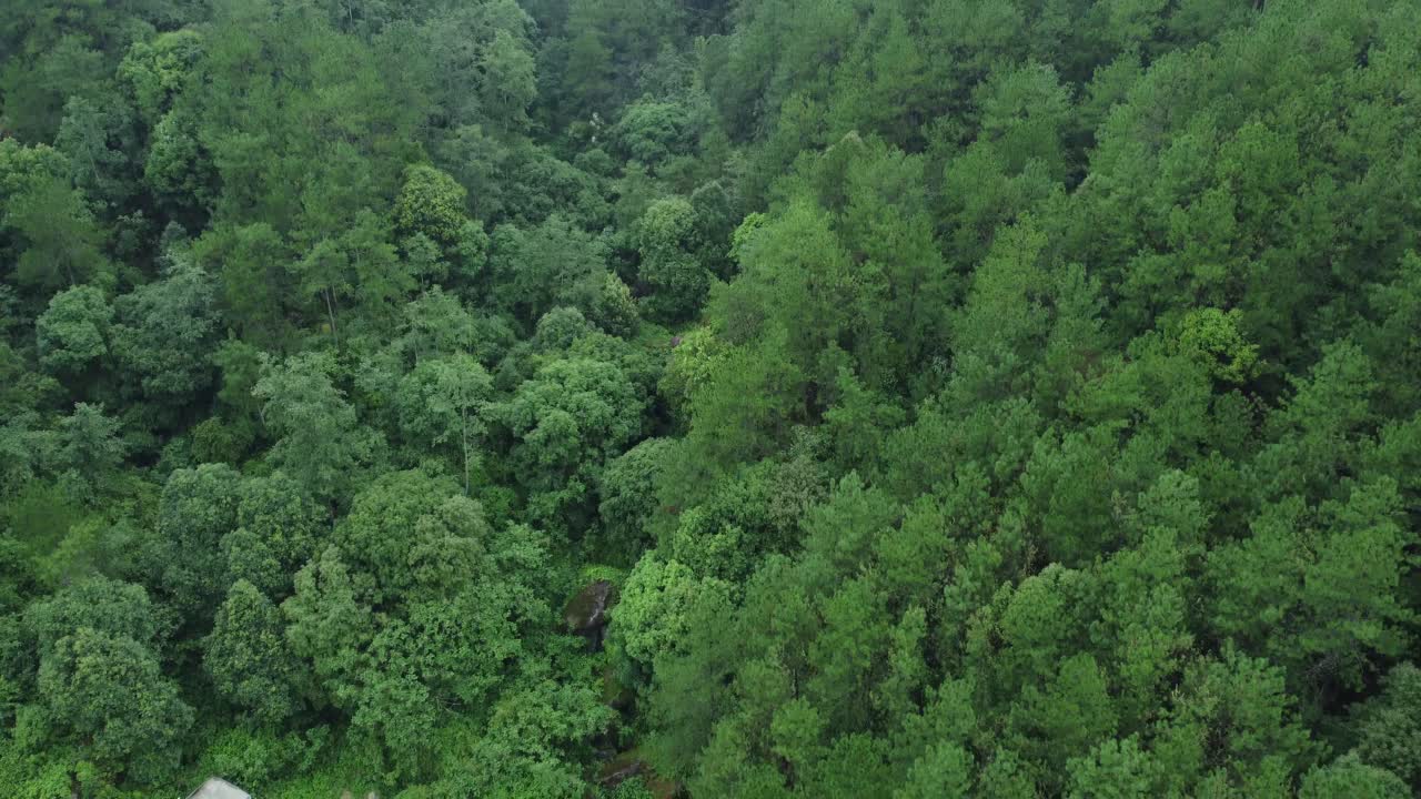 Drone video of Meghalaya's natural beauty.