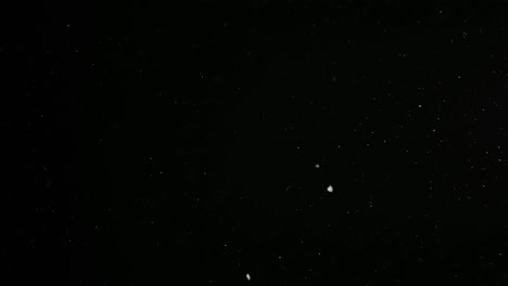 작은 눈알이 흑색 배경에 고립되어 있습니다. bokeh 하 입자가 떨어집니다. 혼합 오버레이 모드에서 사용하기 쉬운 실제 렌즈 플레어.