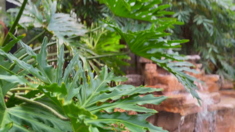 Close-up-focus-on-palm-leaves-hanging-over-swimming-pool-with-waterfall-in-background