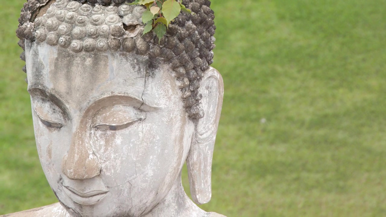 Ripresa in primo piano con movimento tilt down di un'antica scultura in pietra della testa di Buddha ad Ayutthaya, in Thailandia