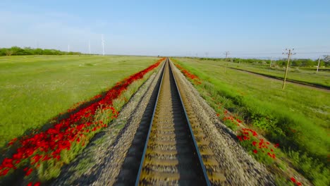 train tracks through a poppy field