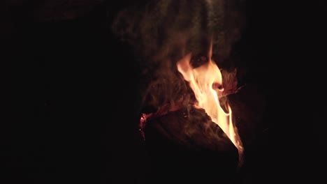 registro de llamas ardientes por la noche en la oscuridad