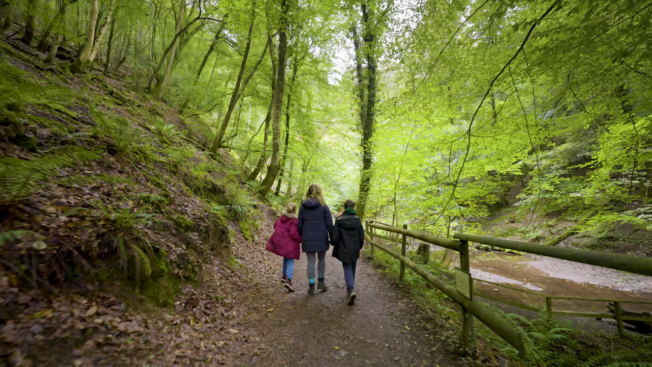 가족 들 이 숲 에서 산책 하는 것