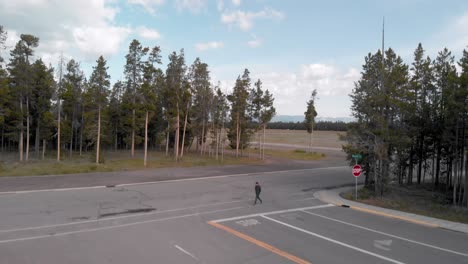 toma aérea en cámara lenta de un hombre cruzando una carretera con las llanuras y los árboles de yellowstone en wyoming detrás de él