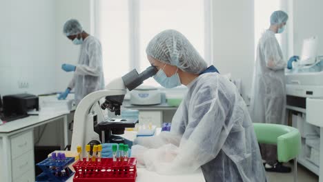 scientists working in a laboratory