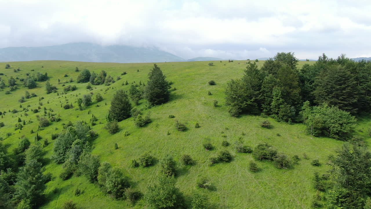 A grassy hill with trees sits under a cloudy sky The land is covered in green grass with clumps of trees scattered across the slope