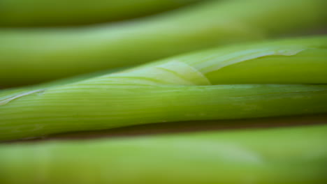 macro pan across a row of fresh, crisp green onions