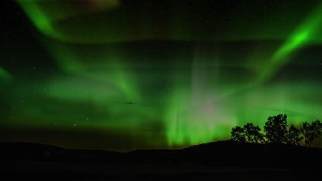 aurora con una llanura montañosa en primer plano con árboles en la noche