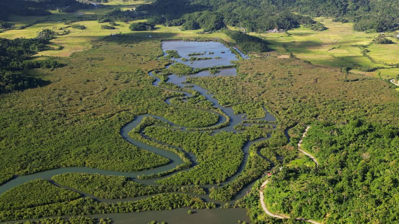 Scenic serpentine mangrove forest rivers amid lush greenery at tropical island province Catanduanes, Philippines during daytime - aerial pullback shot