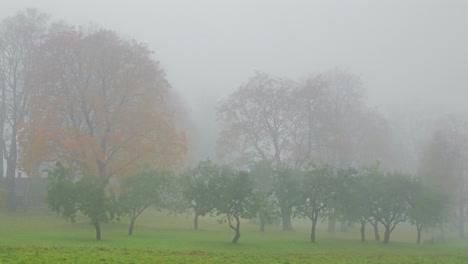 House-and-forest-in-village-time-lapse-summer-autumn-winter-spring,-Latvia