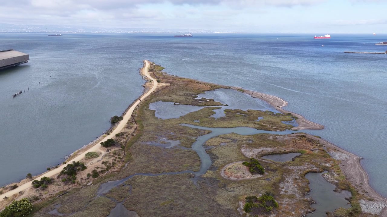 Un video de dron muestra una vista panorámica de gran angular sobre una península de humedal costero bordeada por aguas tranquilas, senderos sinuosos, pozas de marea y cargueros distantes en un día nublado y luminoso