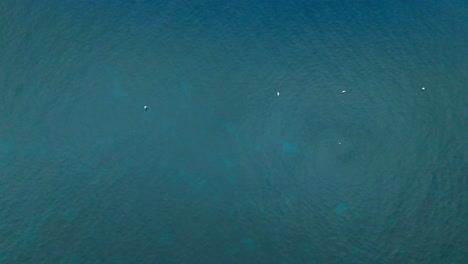straight-down drone view over the sea off porticello, sicily, with boats floating above the 2024 wreck site of the luxury yacht bayesian near palermo