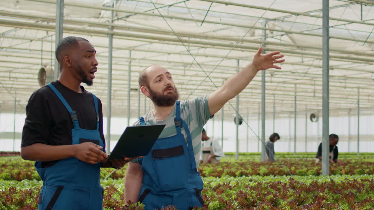 Farmers Inspecting Crops in Greenhouse with Laptop