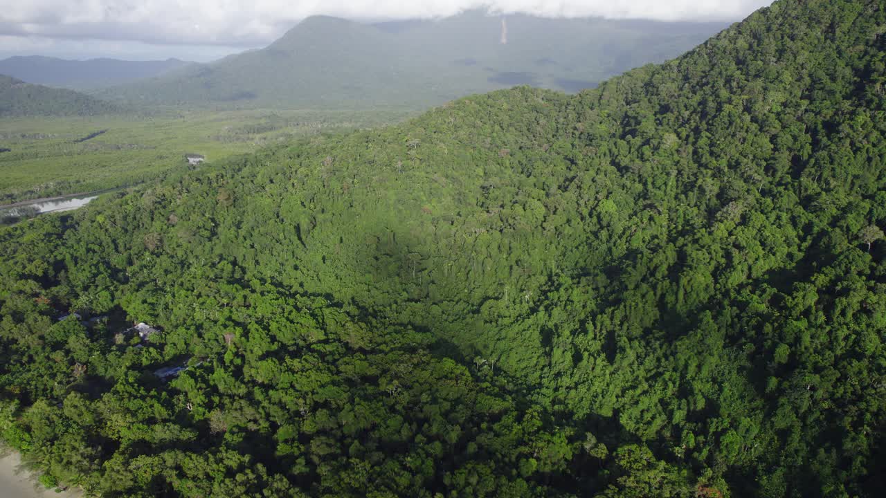 vegetación tropical verde y playa de arena blanca en el parque nacional de daintree en el extremo norte de queensland, australia - disparo de drones