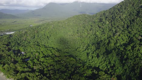 Green-Tropical-Vegetation-And-White-Sand-Beach-At-The-Daintree-National-Park-In-Far-North-Queensland,-Australia---drone-shot