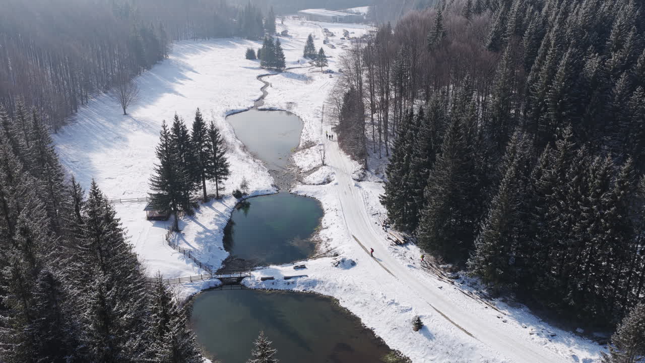 Panoramiczny widok z drona na zimę z jodłami pokrytymi śniegiem. Transylwania, góra Ciucaș w Rumunii, Karpaty