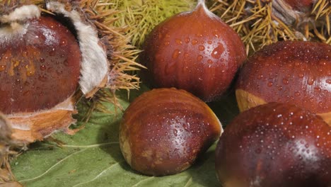 esctablishing shot of a group of delicious cracked chestnuts