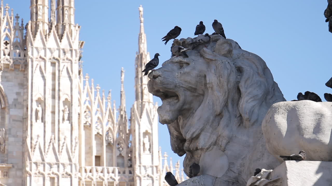 Lion Statue at Milan Cathedral with Pigeons