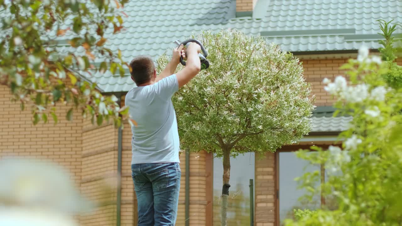 Gardener trimming tree in green park with electric trimmer for hedge. Worker shaping tree in the garden. Cutting tree plant with orange electric trimmer in the backyard.