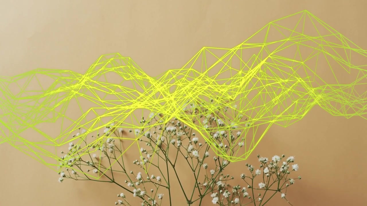 Neon mesh starting above gypsophila, undulating, rising, overlapping blooms, highlighting contrast