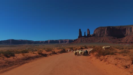 Monument-Valley-Mit-Hütehund-Und-Schafen-In-Utah-Und-Arizona