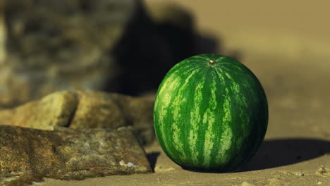 fresh watermelon resting on rocky surface under bright sunlight near beach
