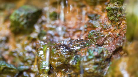 naturaleza pequeña cascada agua cristalina clara cayendo por la roca de la montaña arroyo, rápidos ríos salvajes con agua corriente, tranquilo arroyo escénico en el bosque, burbujas de agua