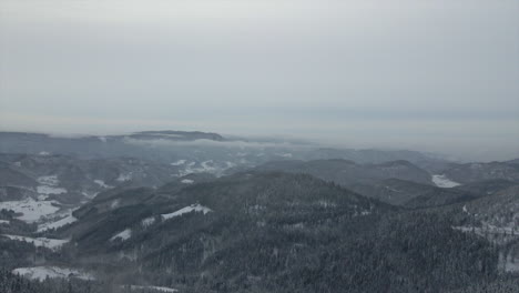 Místico-Día-De-Invierno-En-El-Bosque-Nevado,-Toma-Aérea