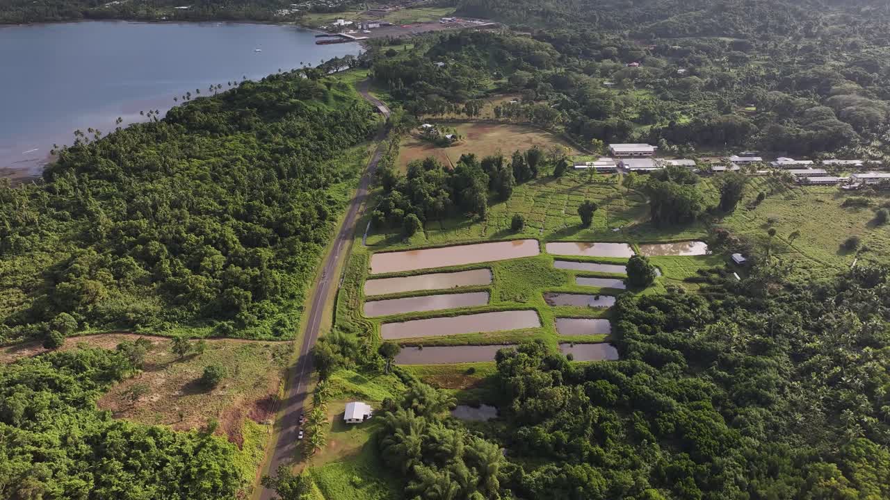 Natural Scenic Of Farmland Surrounded By Lush Greenery AT Savusavu Nearby The Sea In Vanua Levu Island, Fiji. aerial, top-down shot