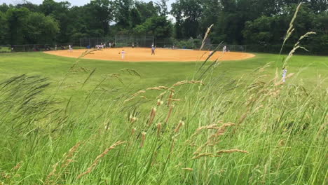 Baseballfeld-Hinter-Hohem-Gras