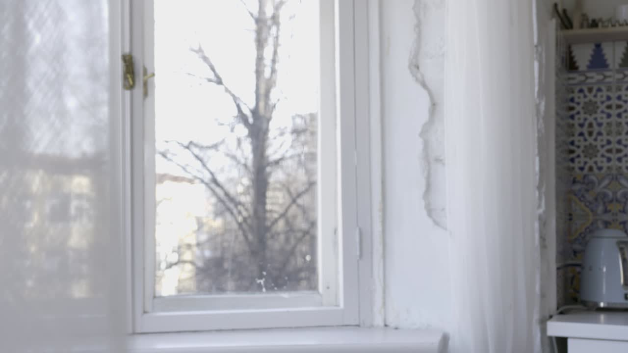 창문 에 있는 금발 여자