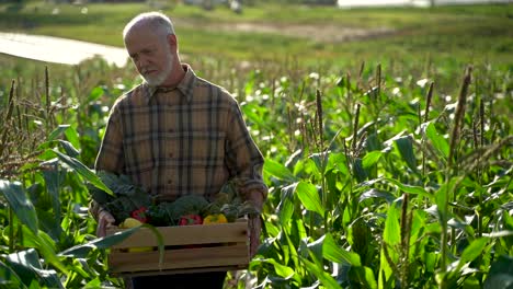 el agricultor de cerca sostiene una caja de verduras orgánicas mira hacia otro lado de la cámara a la luz del sol agricultura granja campo cosecha jardín nutrición orgánico fresco retrato al aire libre cámara lenta