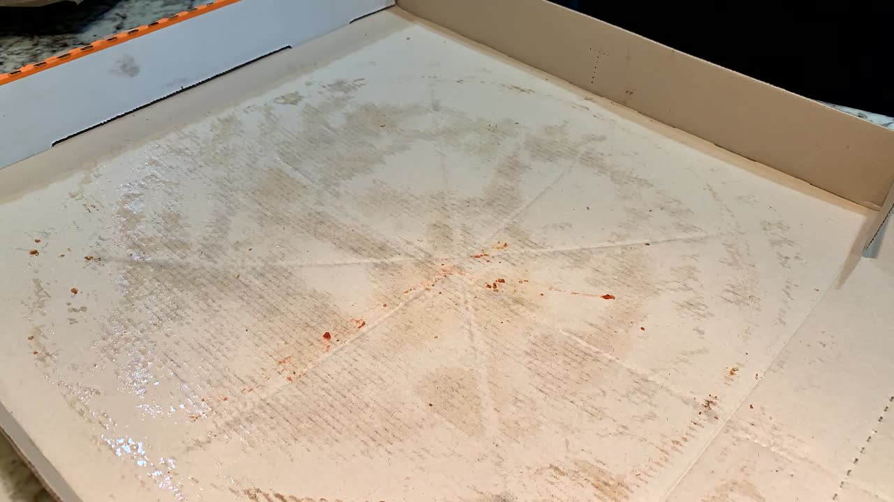 몇 초 안에 치즈 피자 한 상자가 사라졌어요