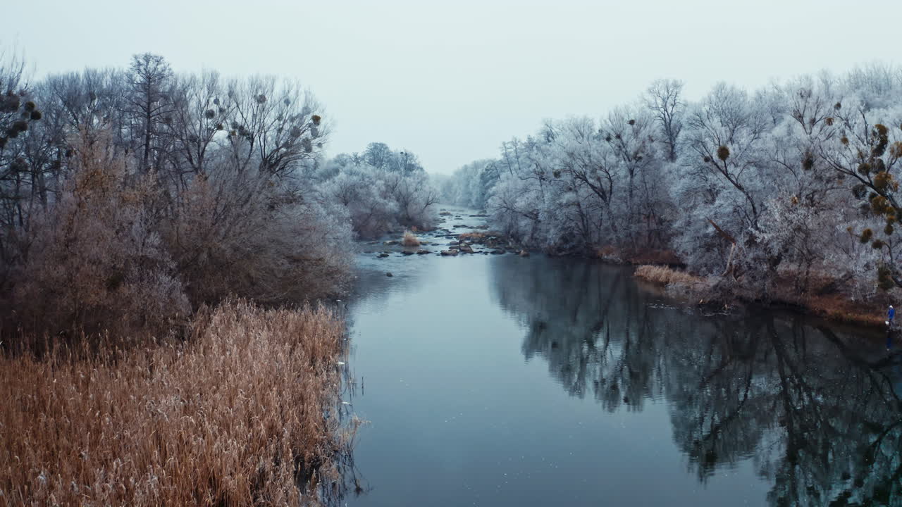 Forest and river wild landscape. Aerial view of forest with river during winter