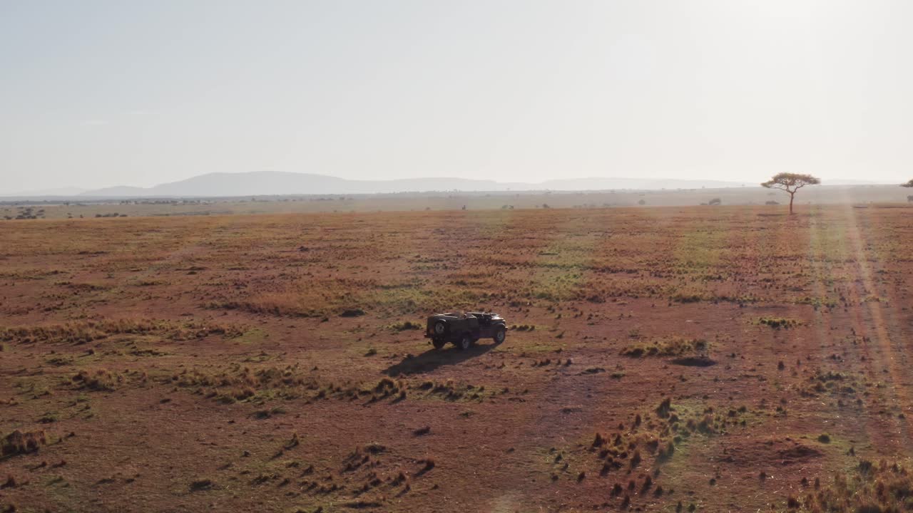 fotografía aérea de un fotógrafo de vida silvestre conduciendo un vehículo de safari en la reserva nacional de maasai mara, kenia, áfrica con hermosos paisajes y árboles de acacia