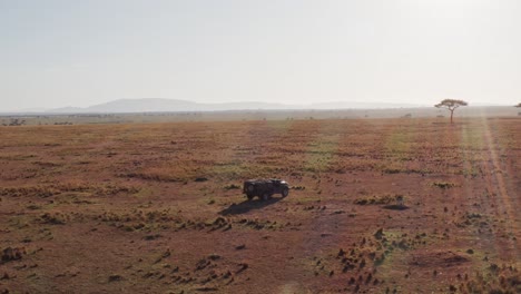 aerial drone shot of wildlife photographer driving safari vehicle in maasai mara national reserve savanna, kenya, africa with beautiful landscape scenery and acacia trees